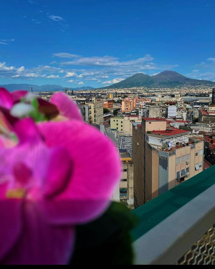Napoli's Rooftop Bed & Breakfast *